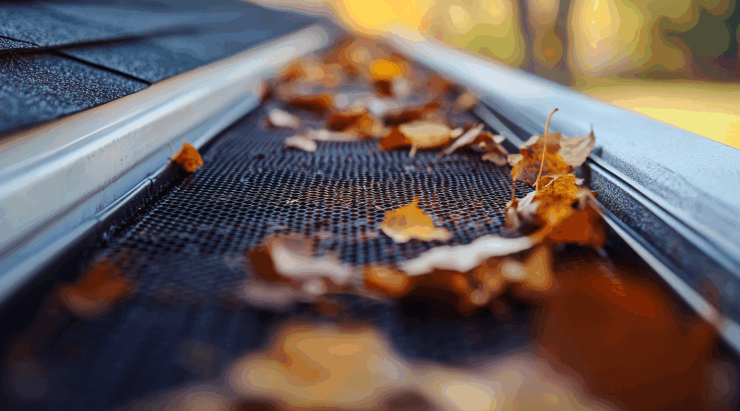 Gutter Cleaning Safety