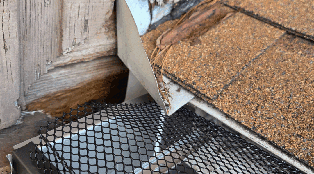 Gutter Replacement with Leaf Guards – New Port Richey