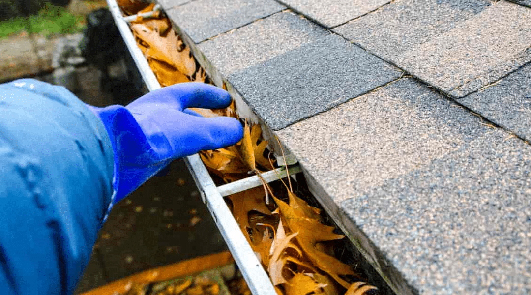 Can Clogged Gutters Cause Roof Leaks?